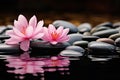 Zen serenity stone with a touch of pink flower tranquility Royalty Free Stock Photo