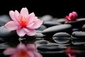 Zen serenity stone with a touch of pink flower tranquility Royalty Free Stock Photo