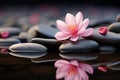 Zen serenity stone with a touch of pink flower tranquility Royalty Free Stock Photo