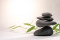 Zen spa basalt stones and green bamboo leaves on white background. Wellness and relaxation. Royalty Free Stock Photo