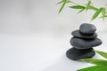Zen spa basalt stones and green bamboo leaves on white background. Wellness and relaxation. Royalty Free Stock Photo