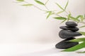 Zen spa basalt stones and green bamboo leaves on white background. Wellness and relaxation. Royalty Free Stock Photo