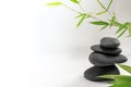 Zen spa basalt stones and green bamboo leaves on white background. Wellness and relaxation. Royalty Free Stock Photo