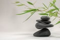 Zen spa basalt stones and green bamboo leaves on white background. Wellness and relaxation. Royalty Free Stock Photo