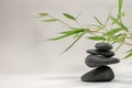 Zen spa basalt stones and green bamboo leaves on white background. Wellness and relaxation. Royalty Free Stock Photo