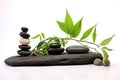 Zen spa green therapy health beauty balance stone rock leaf background Royalty Free Stock Photo