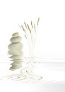 Zen Spa Stones and Natural Grass Royalty Free Stock Photo