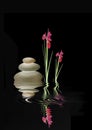 Zen Spa Stones and Red Iris Flowers Royalty Free Stock Photo