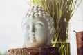 Zen spiritual ritual meditating white face of Buddha, brown candle on green floral background. Religion concept Royalty Free Stock Photo