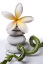 Zen Still Life Royalty Free Stock Photo