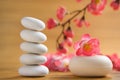 Zen stone and aromatic soap bar Royalty Free Stock Photo