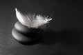 Zen stone with feather on black Royalty Free Stock Photo