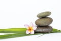 Zen stone on green bamboo leaf and flower on white background Royalty Free Stock Photo