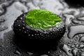 Zen stone and leaf with water drops Royalty Free Stock Photo