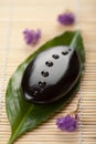 Zen stone and leaf with water drops Royalty Free Stock Photo