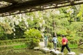 Zen stone path in a pone near Heian Shrine. Royalty Free Stock Photo