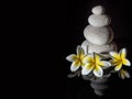 Zen stone pyramid with three white gentle frangapani plumeria flowers on the black reflective background Royalty Free Stock Photo