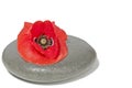 Zen stone with red poppy flower Royalty Free Stock Photo