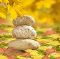 Zen stones of Autumn leaves Royalty Free Stock Photo