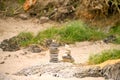 Zen stones. Balance Stones On Stone. Stones balance, pile of pebbles on sand and a bottom of green vegetation Royalty Free Stock Photo