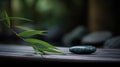 zen stones and bamboo leaf on wooden table in garden, stock photo Royalty Free Stock Photo