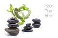 Zen stones with bamboo plant Royalty Free Stock Photo