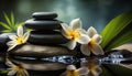 Zen stones and bamboo on the water lined with spa pebbles and plumeria flowers. Royalty Free Stock Photo