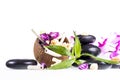 Zen stones and coconut Royalty Free Stock Photo