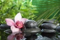 Zen stones and exotic flower in water against blurred background Royalty Free Stock Photo