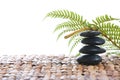 Zen stones with a fern Royalty Free Stock Photo