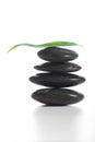 Zen stones with a fern Royalty Free Stock Photo