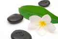 Zen stones and flower Royalty Free Stock Photo