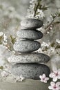 Zen stones and flower blossom