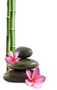 Zen stones, flowers and bamboo Royalty Free Stock Photo