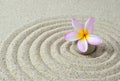 Zen stones with frangipani flower Royalty Free Stock Photo