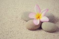 Zen stones and Frangipani Royalty Free Stock Photo