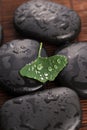 Zen stones and ginko biloba leaves with water drops Royalty Free Stock Photo