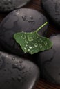 Zen stones and ginko biloba leaves with water drops Royalty Free Stock Photo