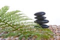 Zen Stones on a grass mat with a fern Royalty Free Stock Photo