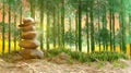 Zen stones with green leaf in the bamboo garden background. Royalty Free Stock Photo