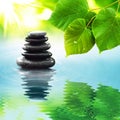 Zen stones & green leaves Royalty Free Stock Photo