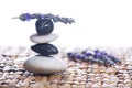 Zen stones with lavender Royalty Free Stock Photo