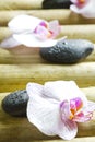 Zen stones with orchid abstract closeup still life