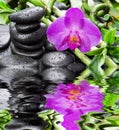 Zen stones, orchid flower and bamboo reflected in a water Royalty Free Stock Photo