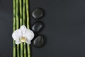 Zen stones, orchid flower and bamboo Royalty Free Stock Photo