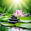 Zen stones,orchid,Lotus flower on nature background with reflection. Spa treatment, massage aromatherapy concept Royalty Free Stock Photo