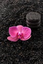 Zen stones and orchids. SPA. Royalty Free Stock Photo