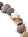 Zen stones path Royalty Free Stock Photo