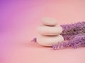 Zen stones and plants on a pink background, space for text. Zen spa stones with flowers. Rock, nature Royalty Free Stock Photo