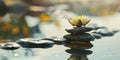 Zen stones, water lily, lotus symmetrically aligned against calm water. Self care, yoga training, fitness, breathing exercises, Royalty Free Stock Photo